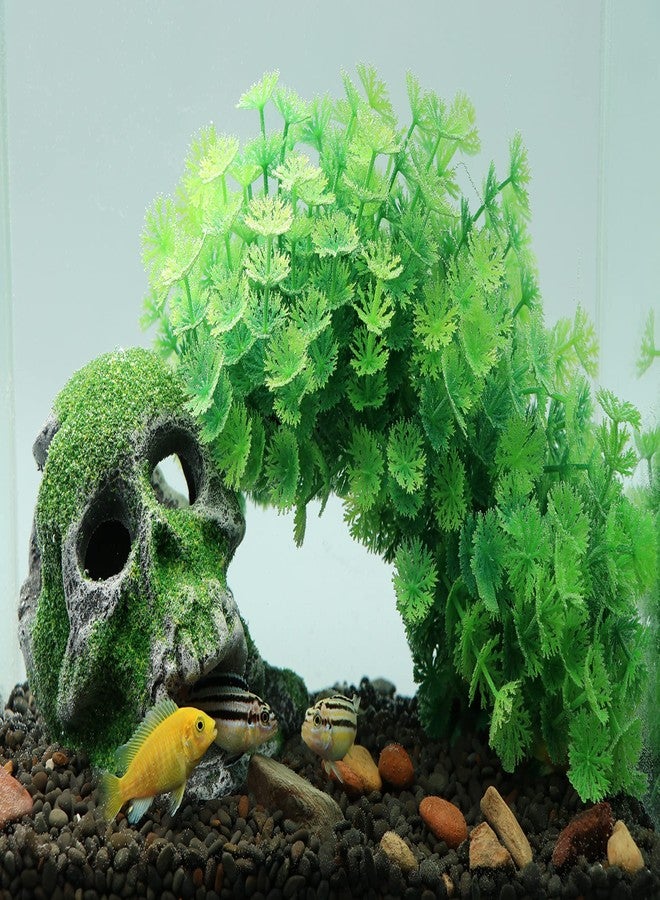 AQUA KT Aquarium Landscape Head Skeleton Skull Rock Fish Hiding Place Cichlid Cave for Gold Betta Fish Tank Decoration Freshwater or Marine Aquariums - Image 3